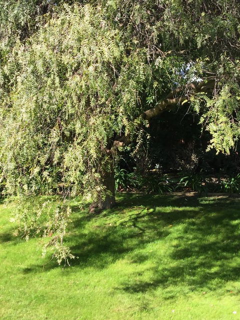 Moonah Woodlands Resort - E Caravan Parks 37