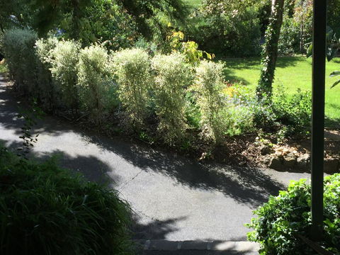 Moonah Woodlands Resort - E Caravan Parks 39