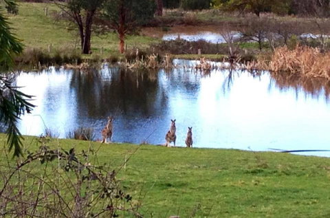 Australian Home Away @ Wonga Park Brushy Creek - E Caravan Parks 17
