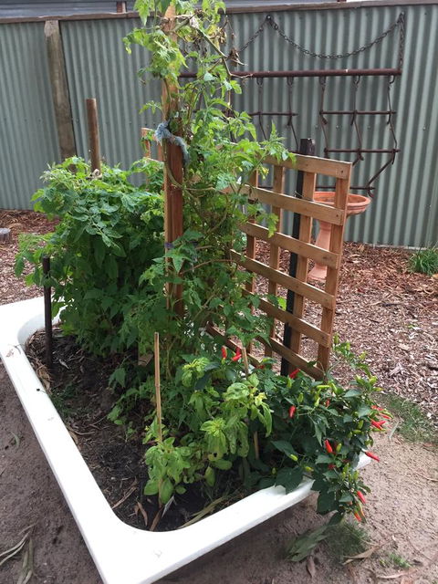 Grampians Pomonal Cottages - E Caravan Parks 28