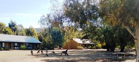 Grampians Pomonal Cottages - E Caravan Parks 6