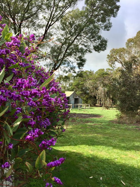 Grampians Pomonal Cottages - E Caravan Parks 21
