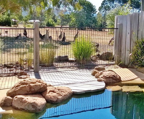 Grampians Pomonal Cottages - E Caravan Parks 24