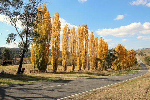 3 Bells Alpine Cottage - E Caravan Parks 20