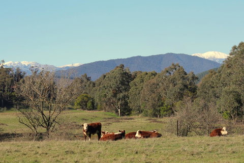 3 Bells Alpine Cottage - E Caravan Parks 21