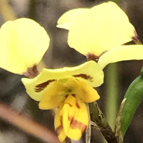 Swan Cove Beachfront - E Caravan Parks 19