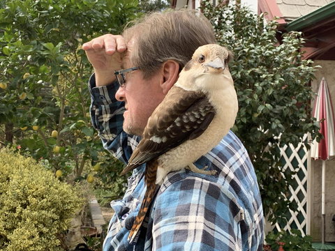 Swan Cove Beachfront - E Caravan Parks 4