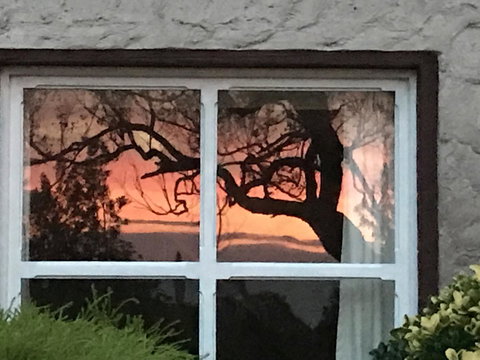 Swan Cove Beachfront - E Caravan Parks 13