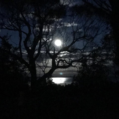 Swan Cove Beachfront - E Caravan Parks 12