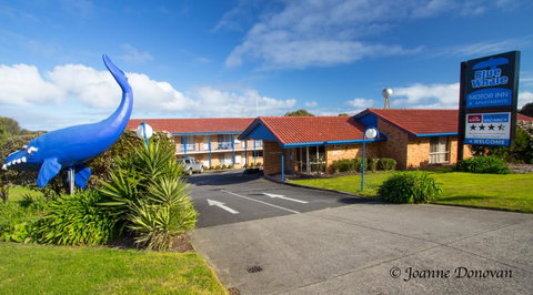 Blue Whale Motor Inn & Apartments - E Caravan Parks 0