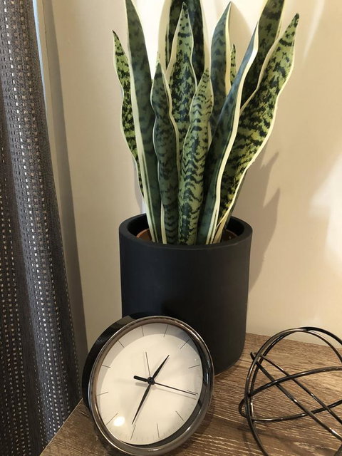 Minni Gums - E Caravan Parks 26