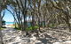 Perfect Blairgowrie Beach House - thumb 17