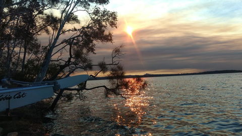 Lake Weyba Noosa Lodge & Kangaroos - E Caravan Parks 40