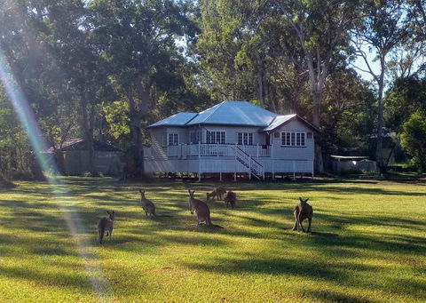 Lake Weyba Noosa Lodge & Kangaroos - E Caravan Parks 0