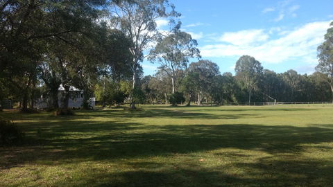 Lake Weyba Noosa Lodge & Kangaroos - E Caravan Parks 23