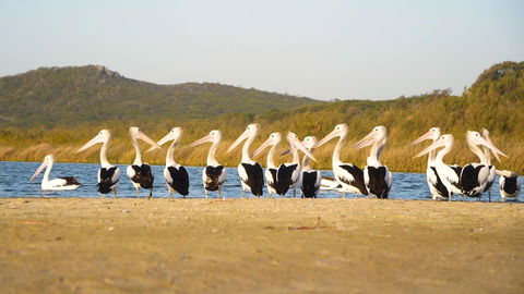 Castaways Moreton Island - E Caravan Parks 11