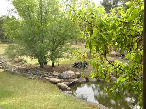 Granite Belt Retreat And Brewery - E Caravan Parks 21