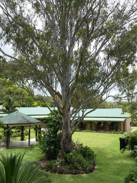 The Bearded Dragon Boutique Hotel - E Caravan Parks 32