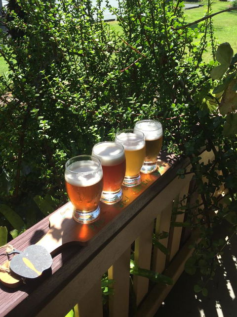 The Bearded Dragon Boutique Hotel - E Caravan Parks 31