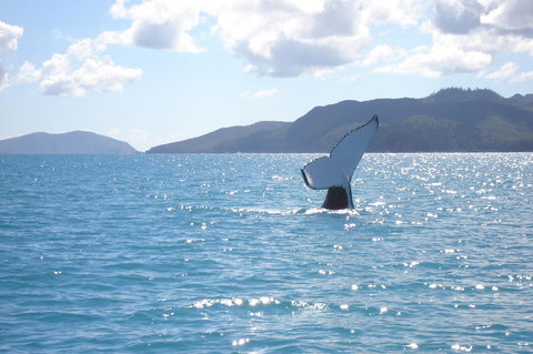 Marina View Apartment - E Caravan Parks 9