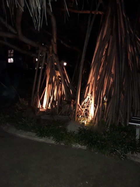 Pandanus Coolum Beach - E Caravan Parks 10