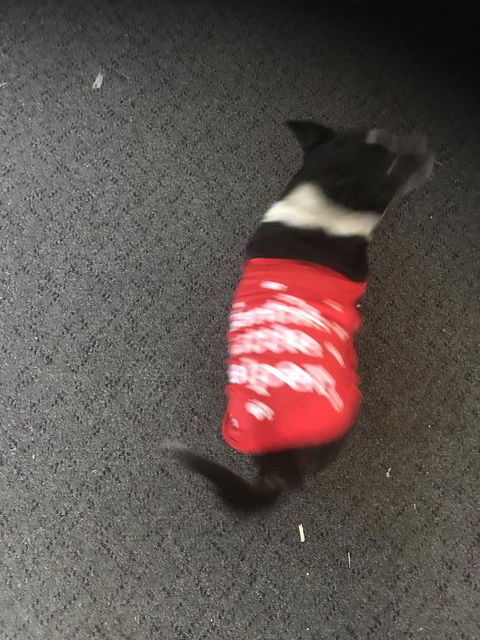 Nanango Star Motel - E Caravan Parks 1