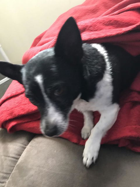 Nanango Star Motel - E Caravan Parks 15