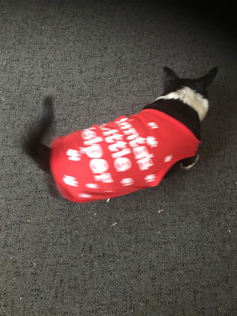 Nanango Star Motel - E Caravan Parks 2