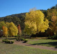 Willowlake Cottages - E Caravan Parks