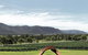 Winmark Wines - thumb 3