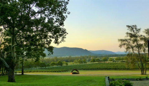 Winmark Wines - E Caravan Parks 0