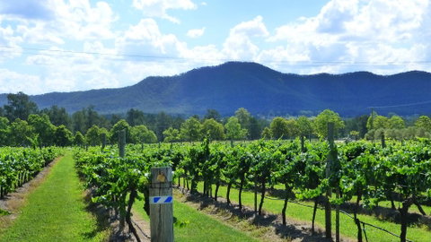 Winmark Wines - E Caravan Parks 1