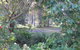 Wondai Hideaway Apartment - thumb 1