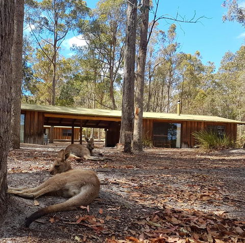 Woodbine Park Eco Cabins - E Caravan Parks 2