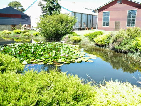 Yarragon Dairy Family Room - E Caravan Parks 1