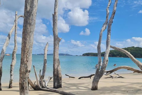 ARay At Cooee Bay - Apt B - Beach House Yeppoon - E Caravan Parks 1