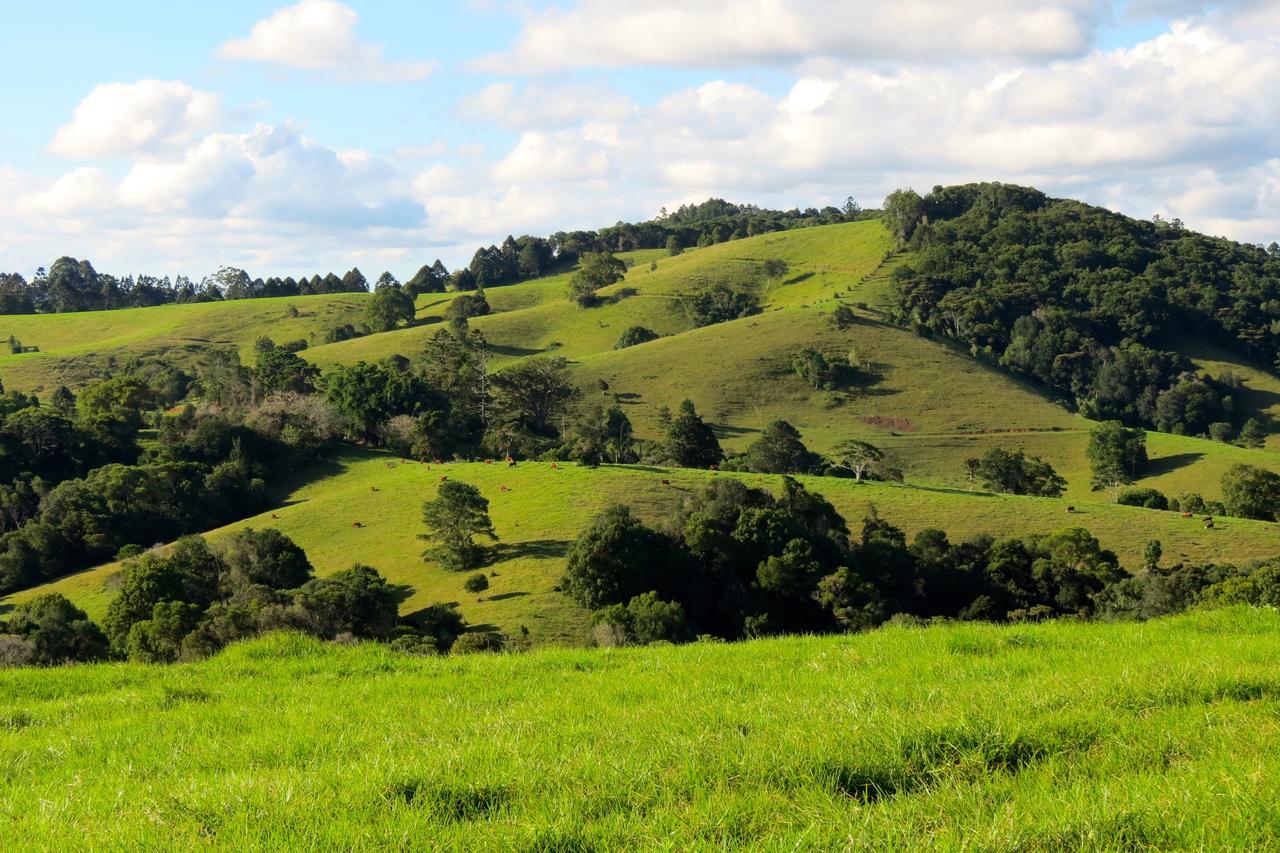Reesville QLD E Caravan Parks