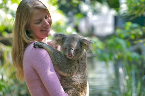 Martinique On Macrossan - E Caravan Parks 30