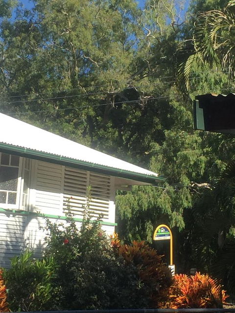 Daggoombah Holiday Home Magnetic Island - E Caravan Parks 15