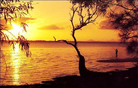 Waterfront At White Patch - E Caravan Parks 23