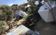 Flinders Island Glamping - thumb 9