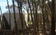 Flinders Island Glamping - thumb 7