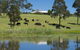 'Talumberi,' 221 Trapyard Road - thumb 0