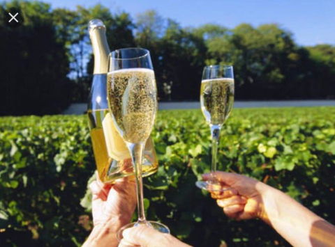 D119 Silver Birch Family Stay - E Caravan Parks 4