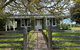 Deepfields Luxury Villa - thumb 0
