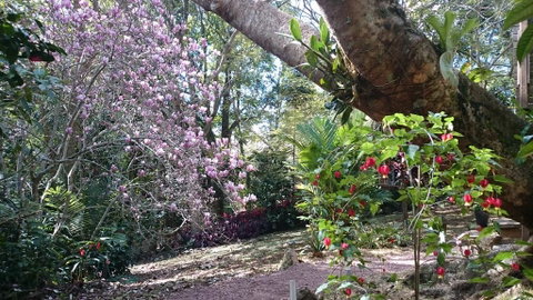 305 Montville - The Artist's Cottage - E Caravan Parks 3