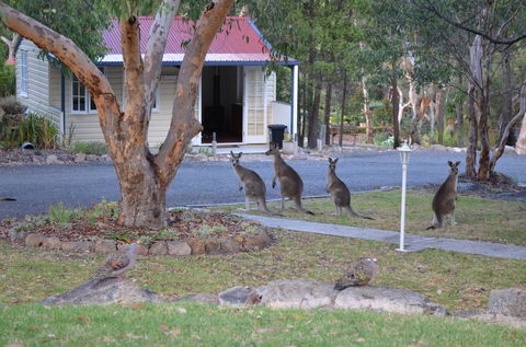 31 The Rocks - E Caravan Parks 0
