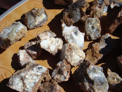 Acclaim Gateway Tourist Park - E Caravan Parks 1