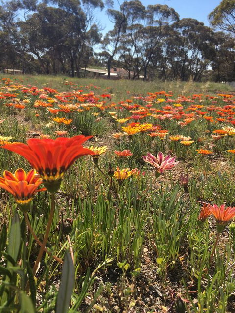 Acclaim Gateway Tourist Park - E Caravan Parks 2