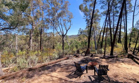 Echidna Ridge By Tiny Away - E Caravan Parks 1